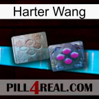 Hard Wang 38